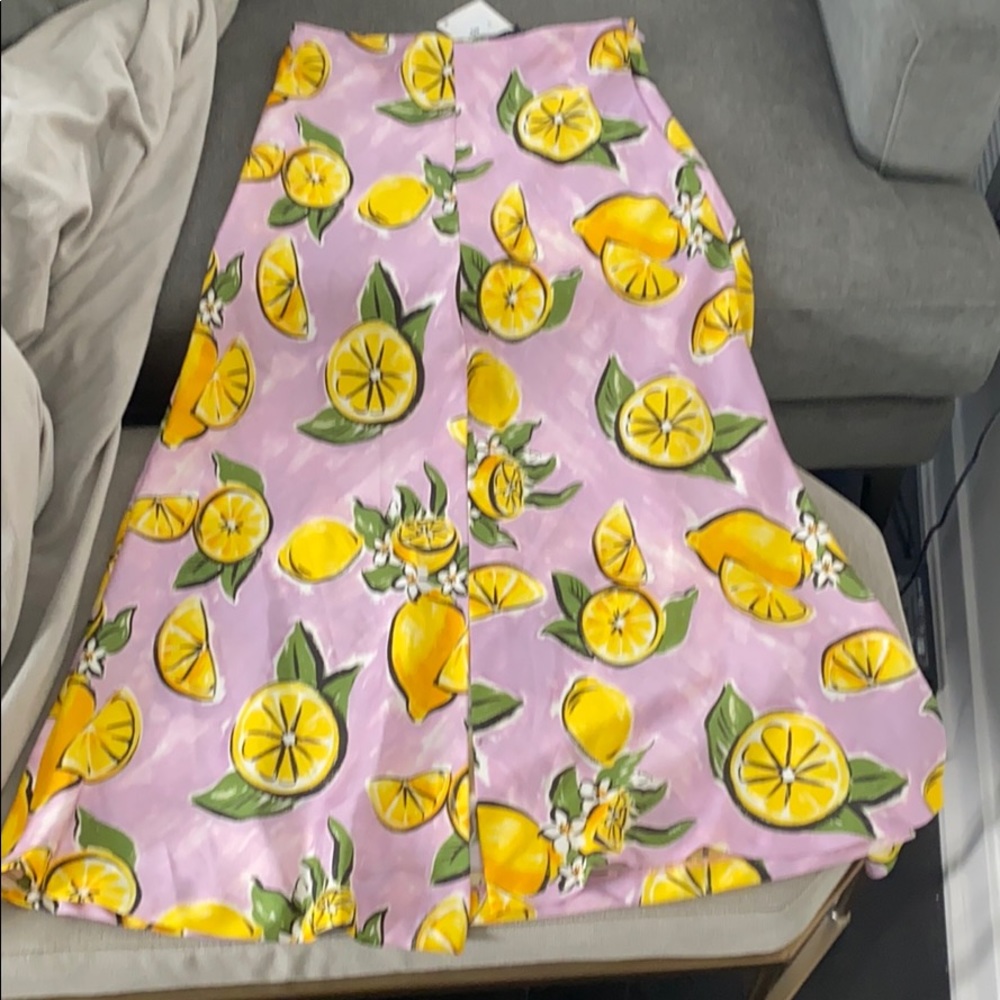 Zara midi silk skirt